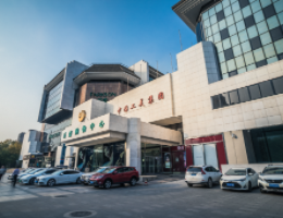 1990年改名为中国Z6人生就是博美术总公司