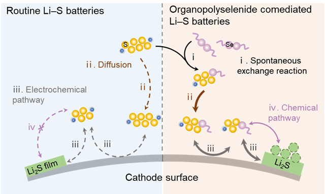 老哥俱乐部-老哥必备的交流社区
