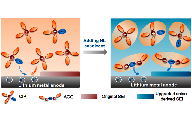 老哥俱乐部-老哥必备的交流社区
