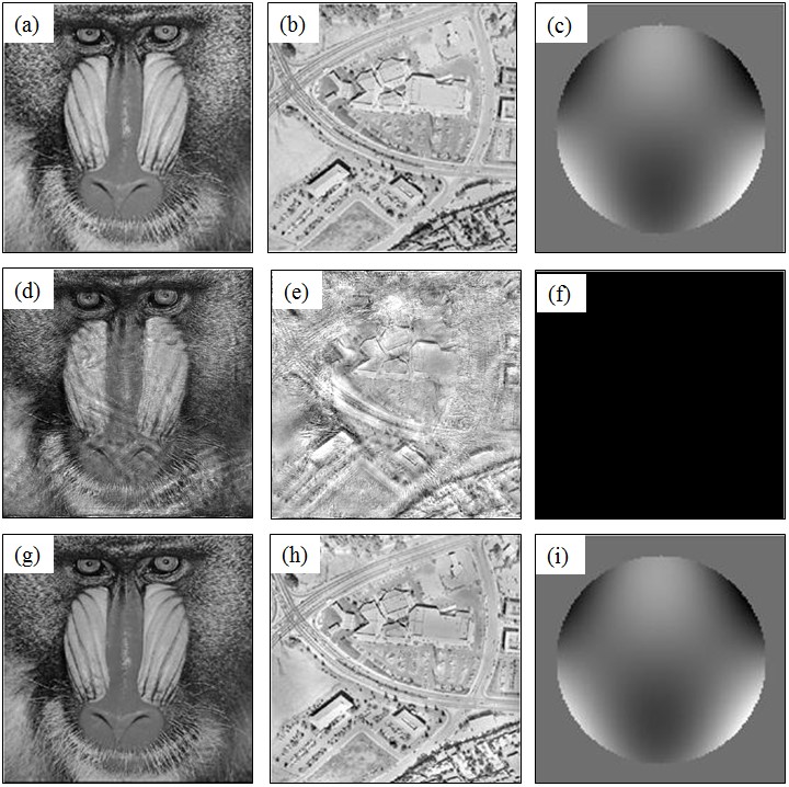 老哥俱乐部-老哥必备的交流社区