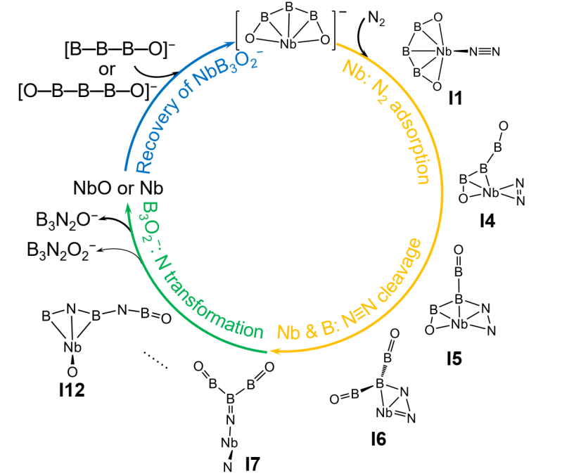 老哥俱乐部-老哥必备的交流社区