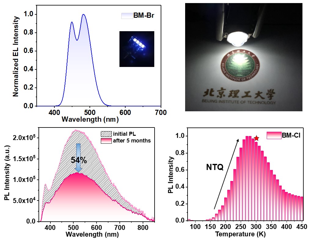 老哥俱乐部-老哥必备的交流社区