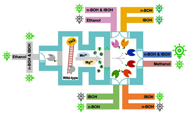 老哥俱乐部-老哥必备的交流社区