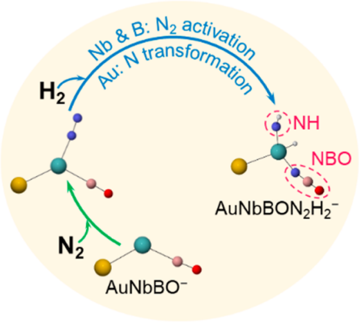 老哥俱乐部-老哥必备的交流社区