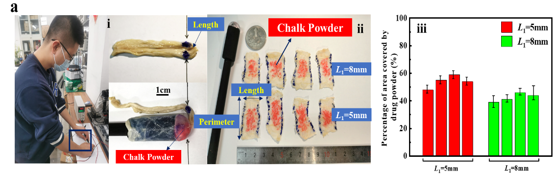 老哥俱乐部-老哥必备的交流社区