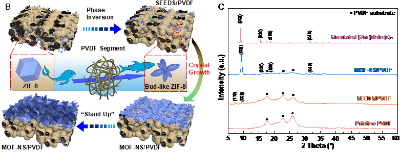 老哥俱乐部-老哥必备的交流社区