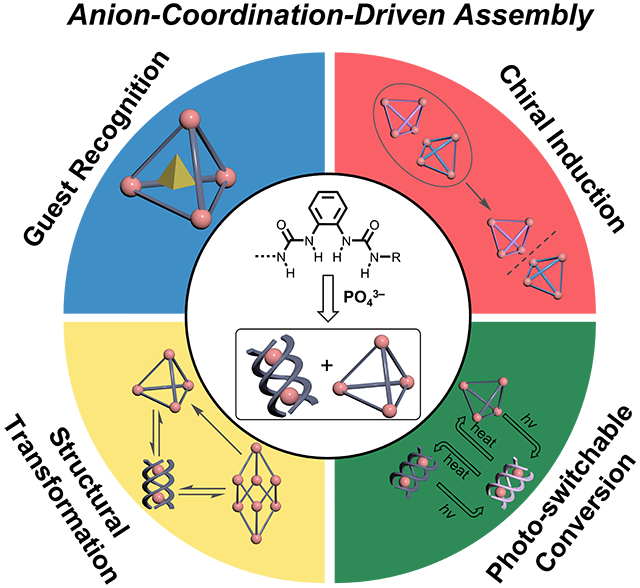 老哥俱乐部-老哥必备的交流社区