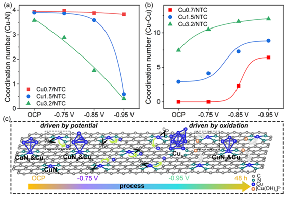 老哥俱乐部-老哥必备的交流社区