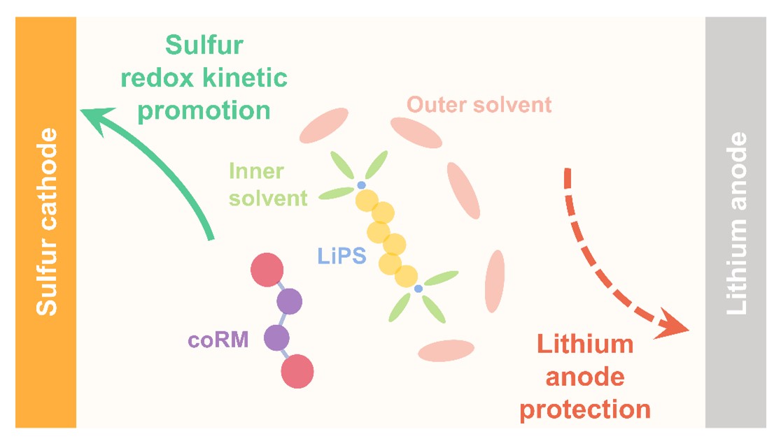 老哥俱乐部-老哥必备的交流社区