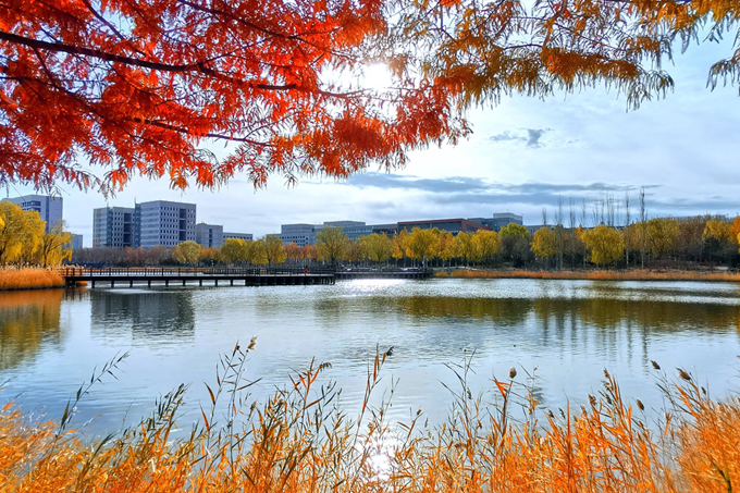 老哥俱乐部-老哥必备的交流社区