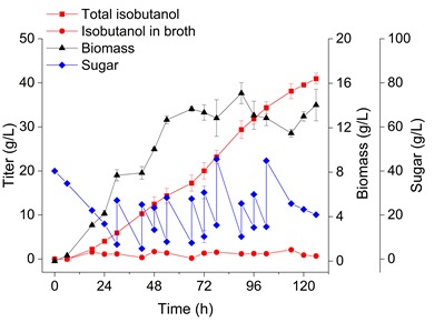 老哥俱乐部-老哥必备的交流社区
