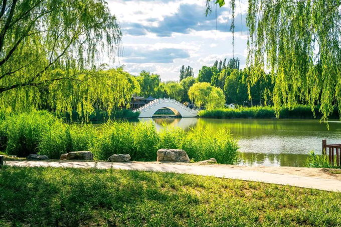 老哥俱乐部-老哥必备的交流社区