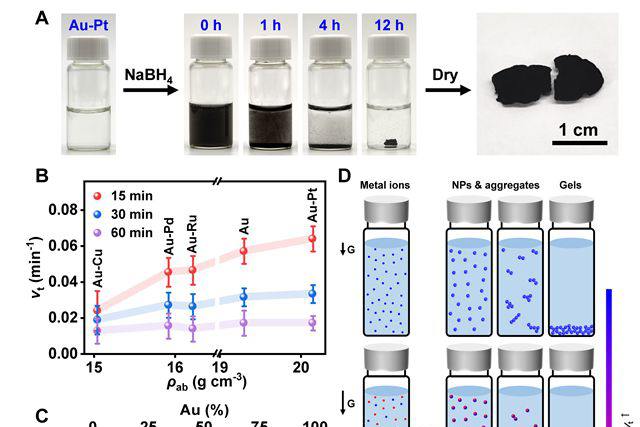 老哥俱乐部-老哥必备的交流社区