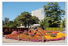 老哥俱乐部-老哥必备的交流社区