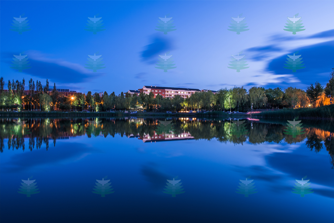 老哥俱乐部-老哥必备的交流社区