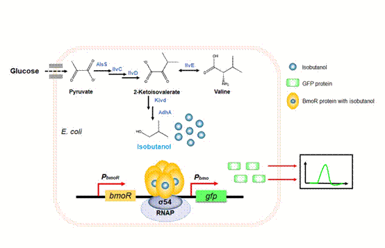 老哥俱乐部-老哥必备的交流社区