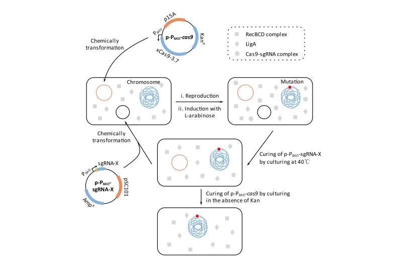 老哥俱乐部-老哥必备的交流社区