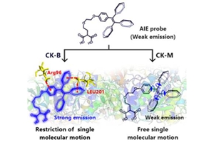 老哥俱乐部-老哥必备的交流社区