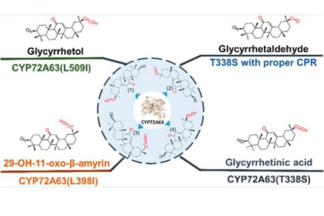 老哥俱乐部-老哥必备的交流社区