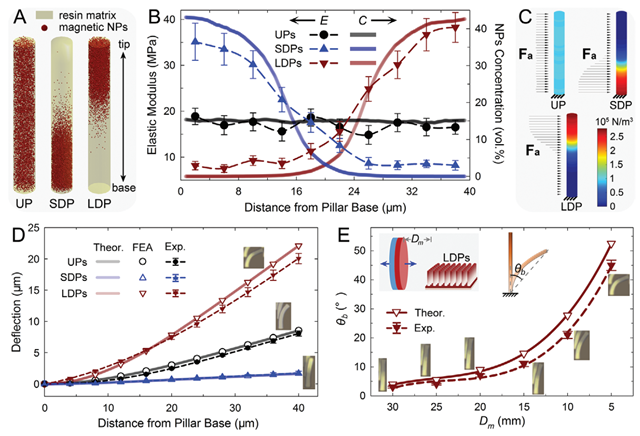 老哥俱乐部-老哥必备的交流社区