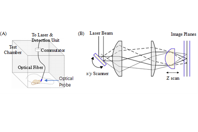 老哥俱乐部-老哥必备的交流社区