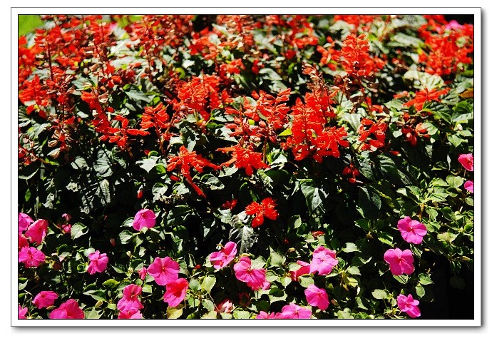 老哥俱乐部-老哥必备的交流社区