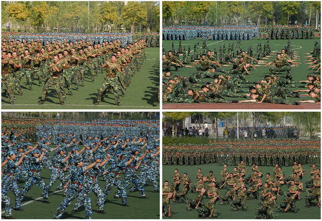 老哥俱乐部-老哥必备的交流社区