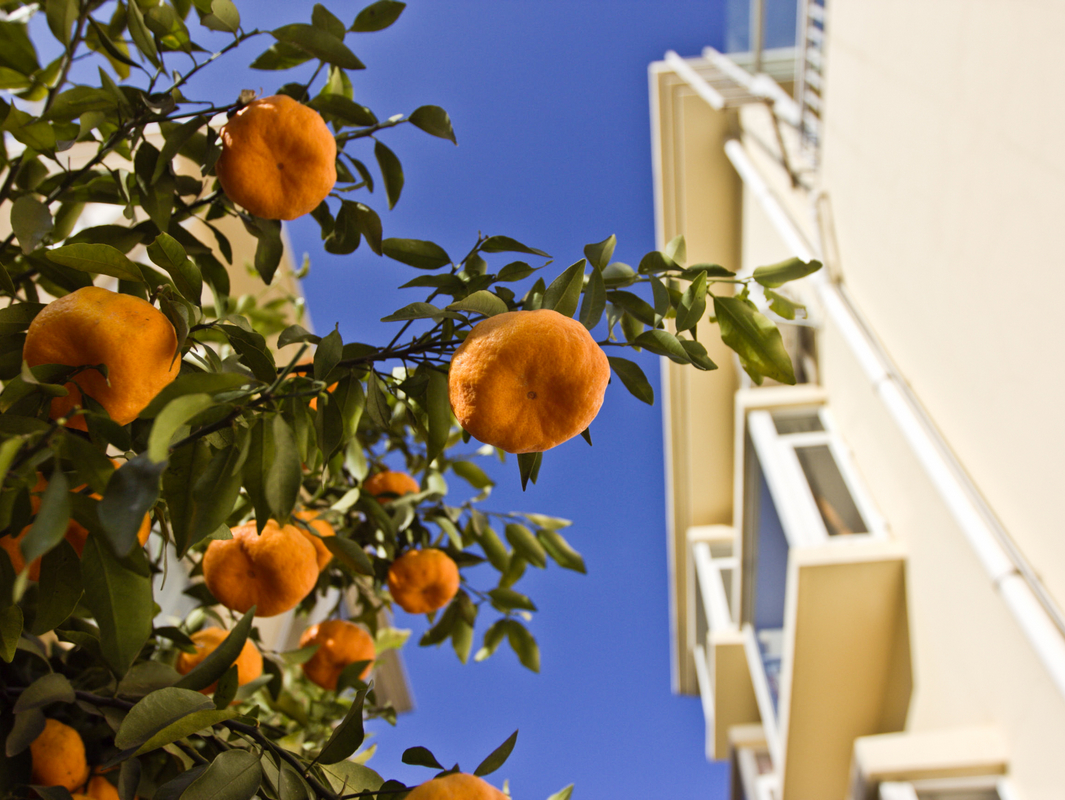 老哥俱乐部-老哥必备的交流社区