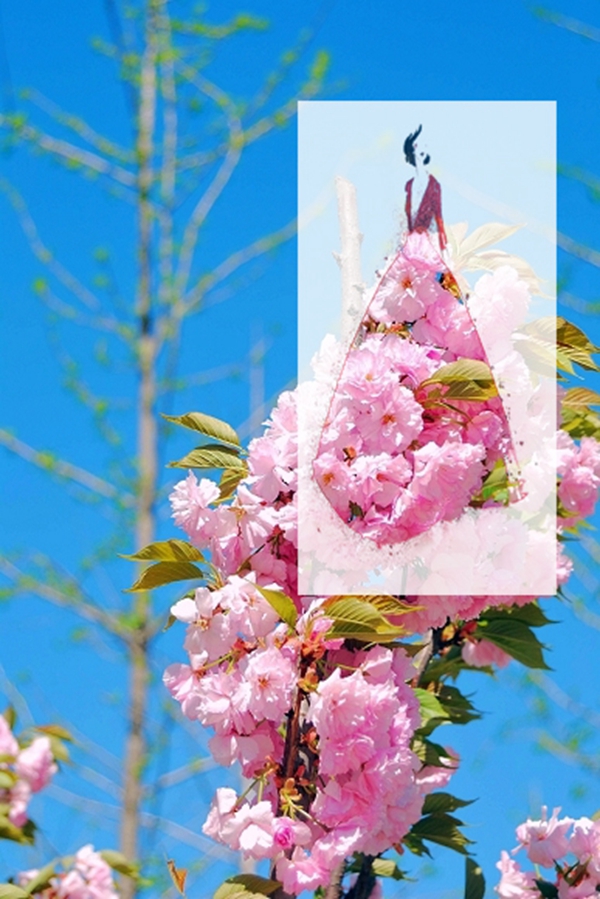 老哥俱乐部-老哥必备的交流社区