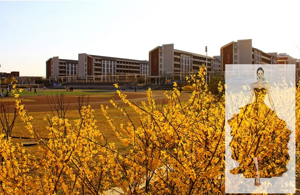 老哥俱乐部-老哥必备的交流社区