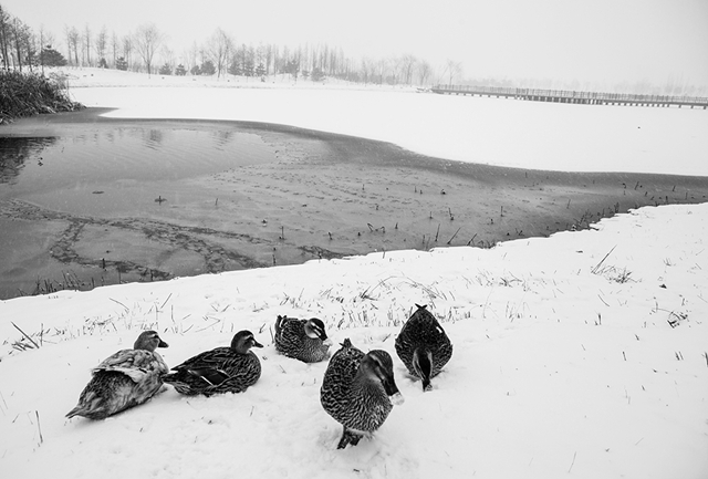 老哥俱乐部-老哥必备的交流社区