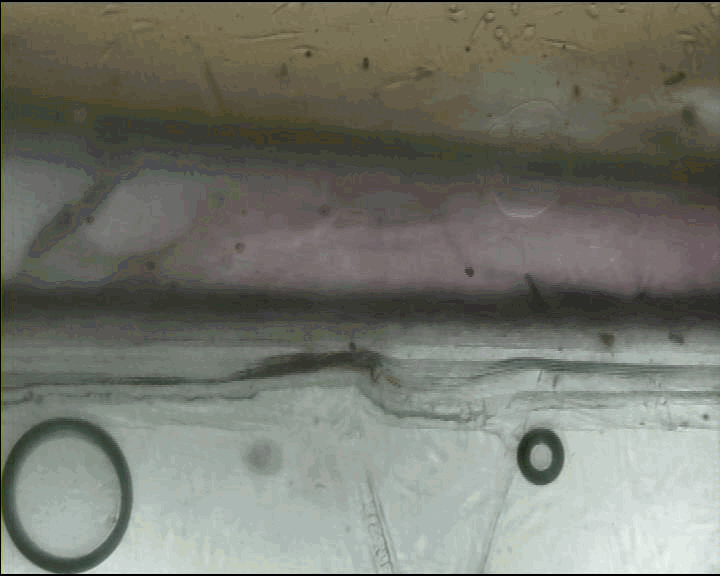 老哥俱乐部-老哥必备的交流社区