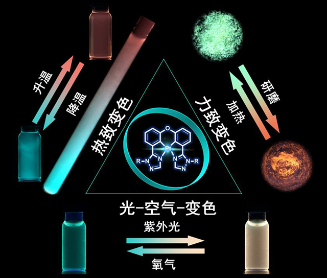 老哥俱乐部-老哥必备的交流社区