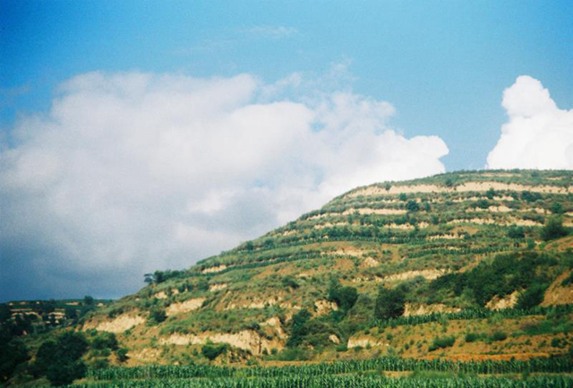 老哥俱乐部-老哥必备的交流社区