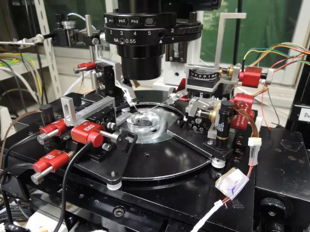 老哥俱乐部-老哥必备的交流社区