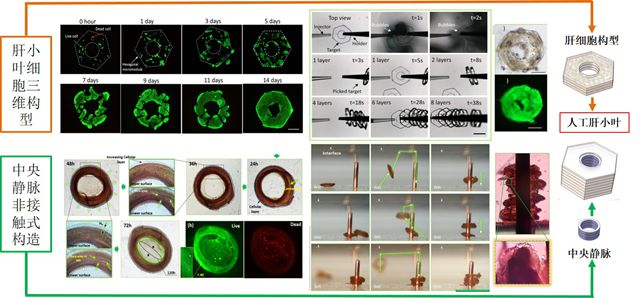 老哥俱乐部-老哥必备的交流社区