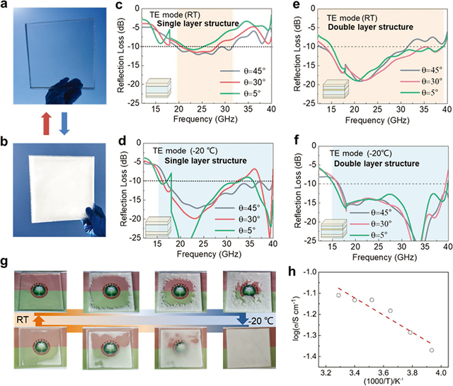 老哥俱乐部-老哥必备的交流社区